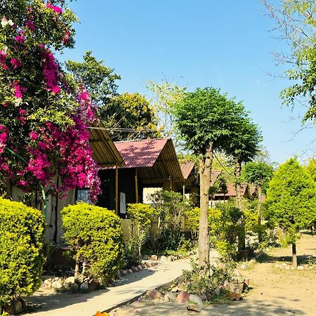 Camp High 5 Jayalgarh Hotell Dāngchura Exteriör bild