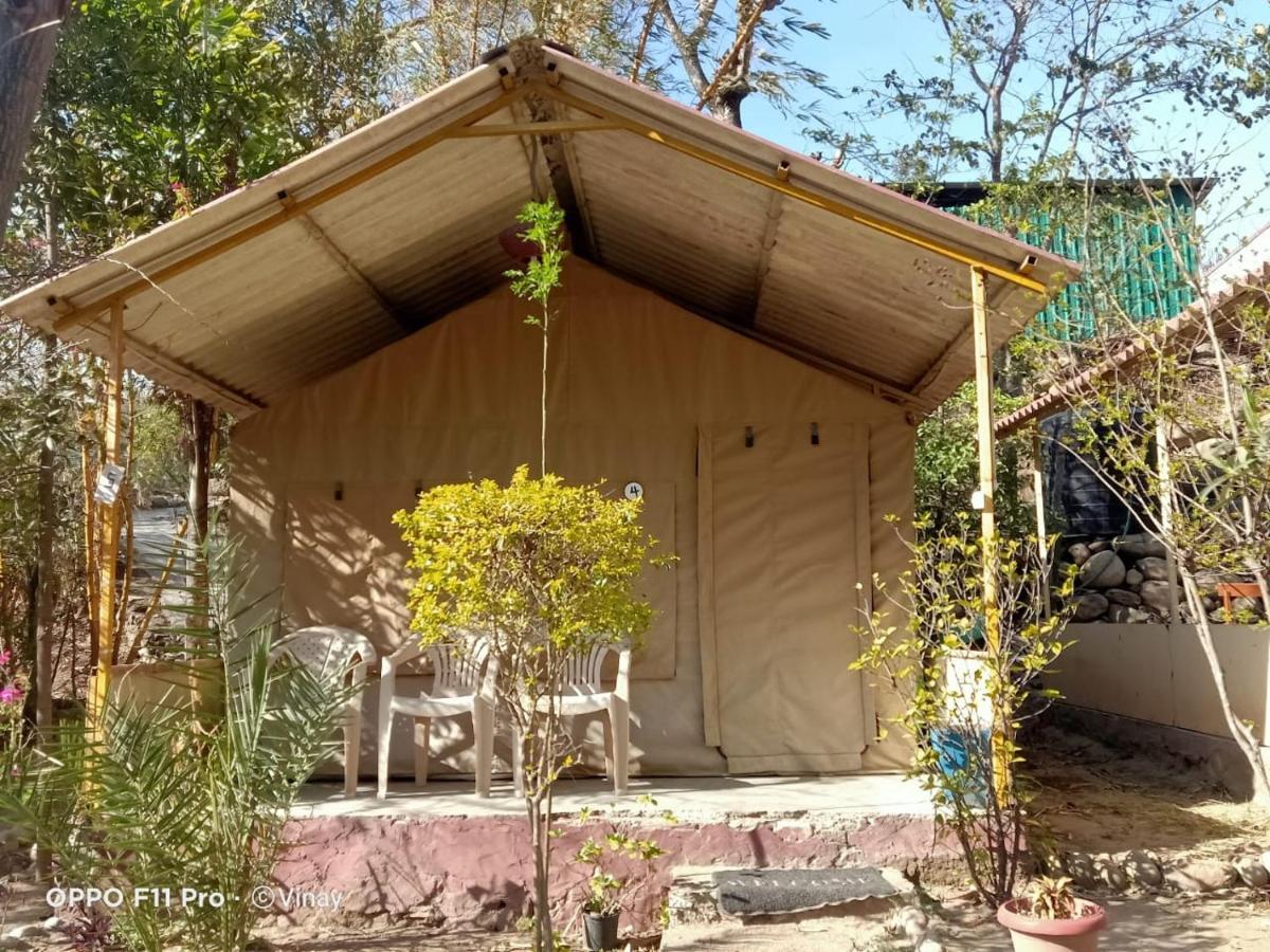 Camp High 5 Jayalgarh Hotell Dāngchura Exteriör bild