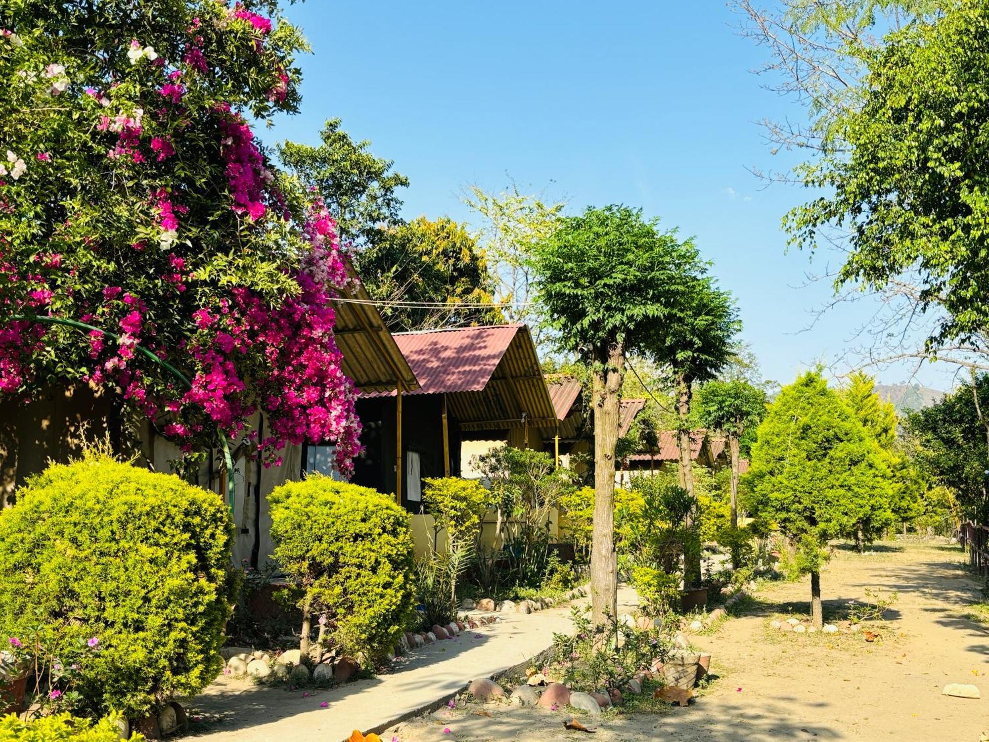 Camp High 5 Jayalgarh Hotell Dāngchura Exteriör bild